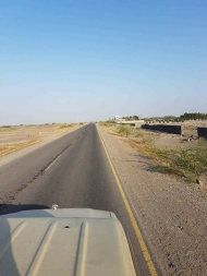 صورة من الارشيف