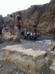 صورة من الارشيف