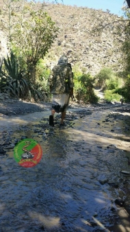 صورة من الارشيف