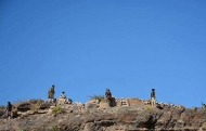 صورة من الارشيف