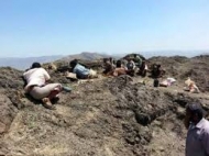 صورة من الارشيف