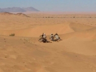 صورة من الارشيف