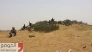 صورة من الارشيف
