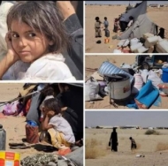 تنفيذية النازحين بمأرب: نزوح أكثر من 93 ألف شخص خلال شهرين جراء تصعيد الحوثيين 